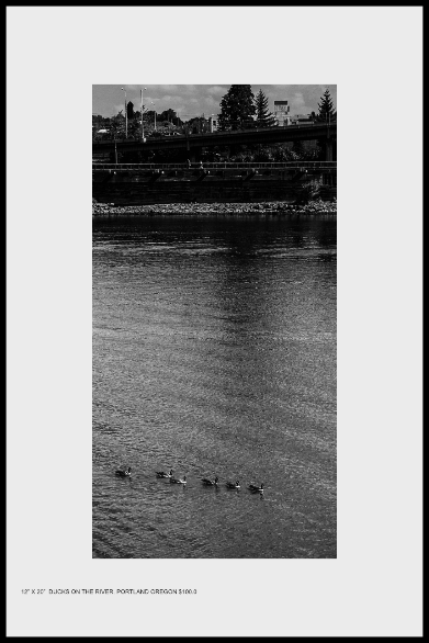Ducks on the River, Oregon - $100.00 text 617-512-7803