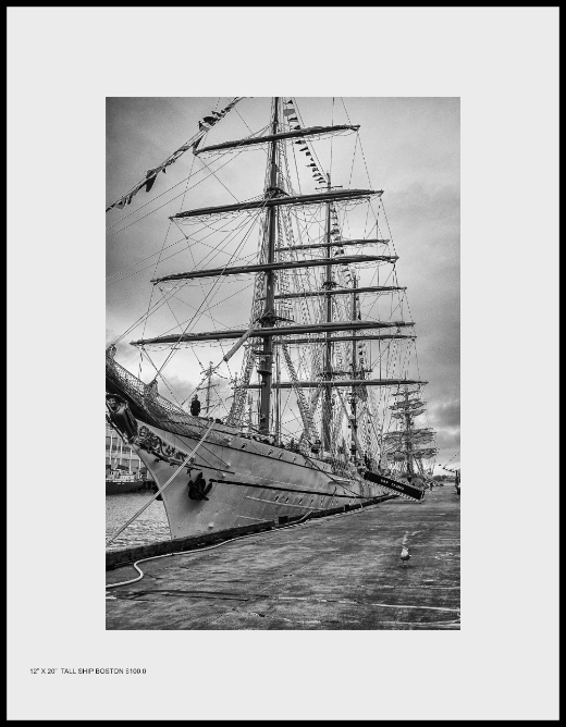 Tall Ship Boston 2009 $100.00 text 617-512-7803